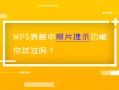 wps文字中怎么移动图片（wps中表格图片工具怎样使用）
