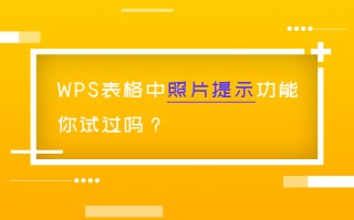 wps文字中怎么移动图片（wps中表格图片工具怎样使用）