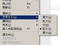 浏览器上的字体突然变大了或者变小怎么恢复?