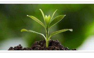 双系统怎么切换系统（手把手教你学嵌入式操作系统）