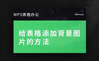 wps如何添加背景图片（WPS表格办公给表格添加背景图片的方法）