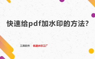 pdf如何加水印防盗图（快速给pdf加水印的简单方法）