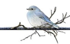 翔升怎么进入bios设置-(翔升怎么进入bios设置界面)