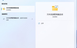 怎么显示文件后缀名（win11显示文件后缀怎么设置）