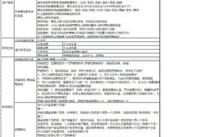公司抖音短视频部门运营规划工作计划表