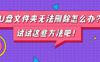 u盘损坏无法删除不-(u盘损坏无法删除不用的文件)