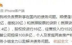 贾跃亭解套史：从负债累累的乐视 到融资20亿美元的FF