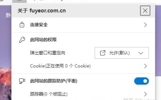 站点启用 https 对于网站的 SEO 有哪些优缺点？