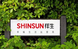 祥生控股前8个月销售额195.8亿元，采取多项措施改善财务状况