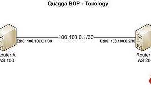 在CentOS中制作BGP路由器的教程
