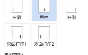wps怎么设置页码从第二页开始（如何从第2页开始设置页码）