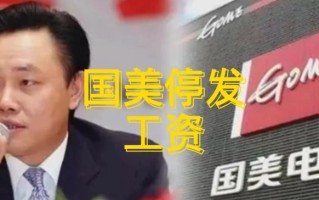 黄光裕的国美专利为0？是的，没几件专利，且欠薪多月负债累累