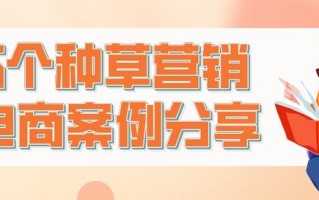 弘辽科技：6个种草营销电商案例分享