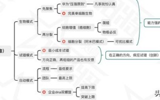 贾真10年电商知识复盘（二）运营思维