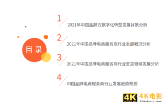 中国品牌电商服务商行业报告：2021年市场规模接近3000亿元
