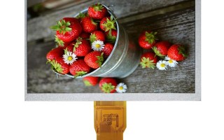 u盘下载不东西怎么办-(u盘下载不了东西怎么办)