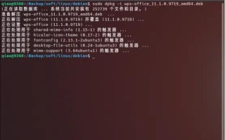 linux安装软件命令（linux安装软件教程详细交流）