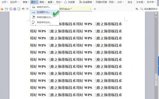 wps如何排版图片（用好WPS多维度复合排版）