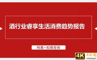 网易&知萌：2020酒行业睿享生活消费趋势报告（185页）