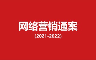 439互联网大平台营销通案48份