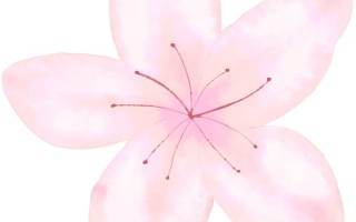 关于“年金”的税务知识知多少