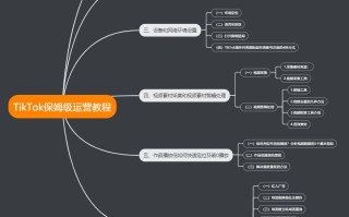 国际版抖音tiktok全网最全运营干货