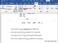 word翻译成中文（word怎样由英文版转换成中文版）
