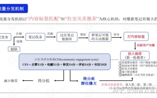 小红书运营必备流量分发逻辑 如何快速涨粉