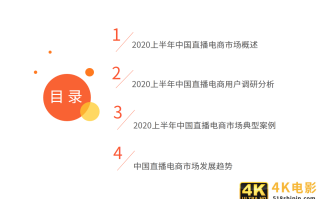 2020上半年中国直播电商市场研究报告