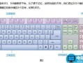 认识电脑键盘 布局及作用