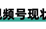 如何在视频号平台获取更多流量？