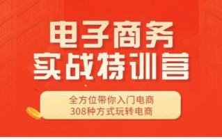 11大板块，308种技巧方法，全程实战实训玩转精细化电商运营