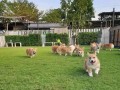【一起去看小短腿】“网红博主回忆专用小马甲都沦陷的一家店！”