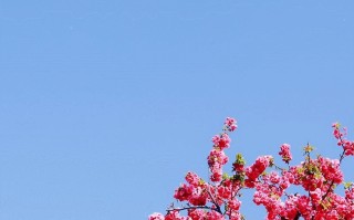 u盘文件丢失能恢复么（u盘突然文件不见了怎么找回）