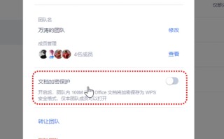 wps云文档怎么加密码（wps给文档加密怎么操作方法）