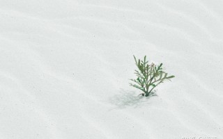 独立站推广的十种方式！