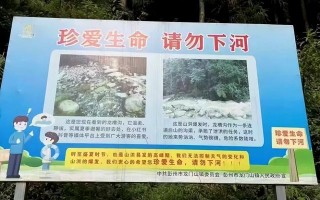 小红书“种草”走向夺命深水