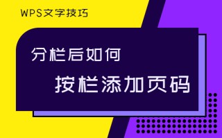 wps分栏线怎么设置（最新wps分栏以后怎么设置页码）