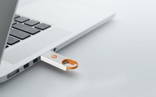 做系统u盘启动蓝屏-(u盘系统做后硬盘启动蓝屏)