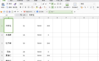 wps表格怎么调整行高（WPS表格快速批量调整表格行高和列宽）
