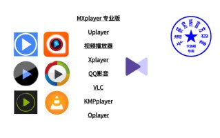 real播放器电脑版（移动端，本地播放器哪家强）