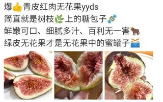 无花果文案：卖无花果水果的营销文案