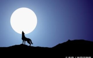 打造狼性微商团队