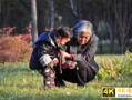 养老金资本化，交给私人管会怎样？智利干翻车了，中国不得不防