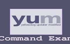 yum卸载包命令（yum工具对软件包安装与删除和更新介绍）