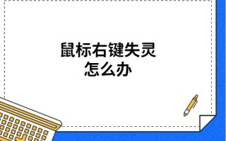 键盘鼠标都失灵怎么办（鼠标右键失灵解决办法）