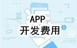 开发一个APP所需要的费用明细