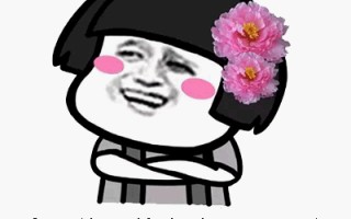 u盘做系统不启动-(u盘做系统不启动怎么办)