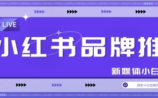 小红书运营思路全攻略——推广攻略