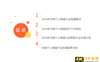 个人网盘专题报告：2020年中国个人网盘用户规模预计超4亿人